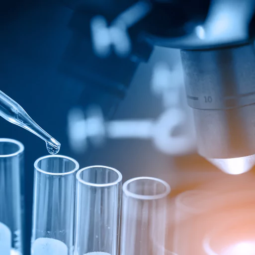 Edu tourism, ecotourism learning, sustainable education travel, Helixionn LearnSpace